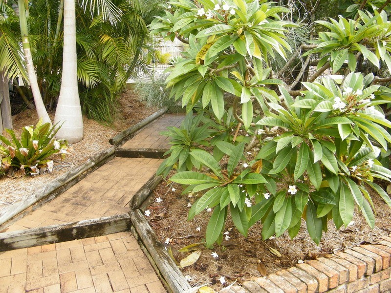 41 Seabreeze Parade, Green Point NSW 2428