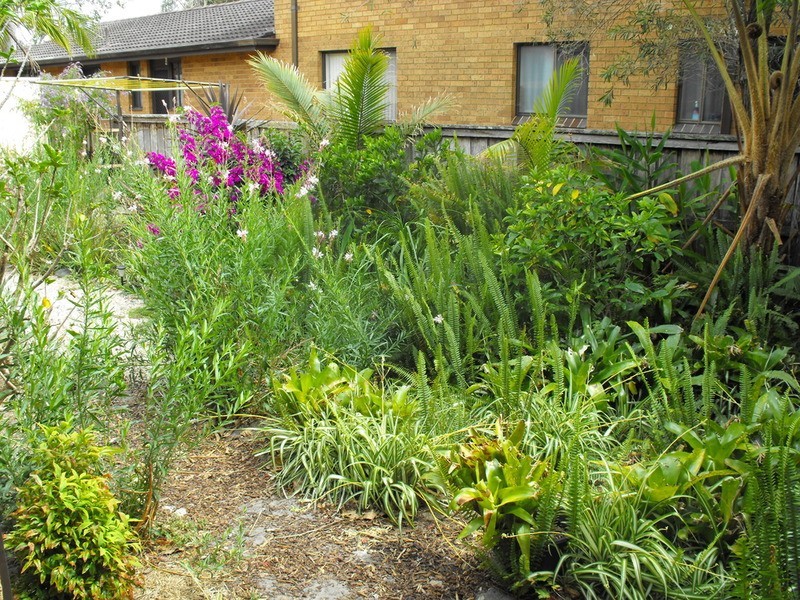 2/108 MacIntosh Street, Forster NSW 2428