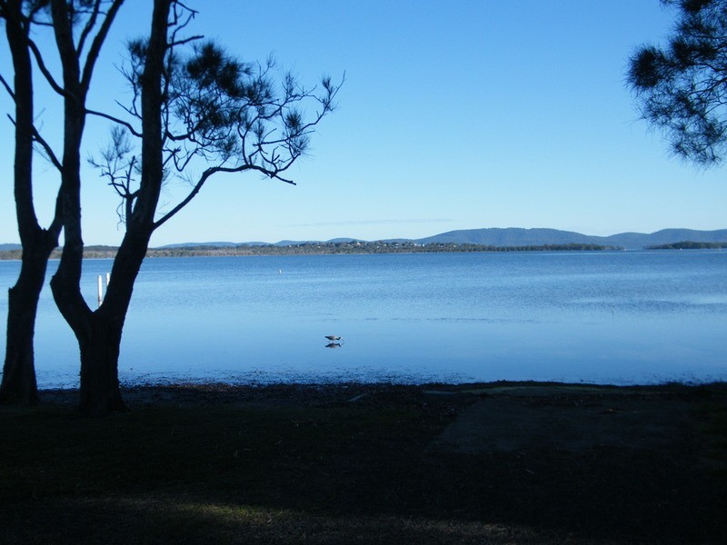 1/7 Tea Tree  Road, Forster NSW 2428