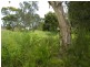 71 Seabreeze Parade, Green Point NSW 2428