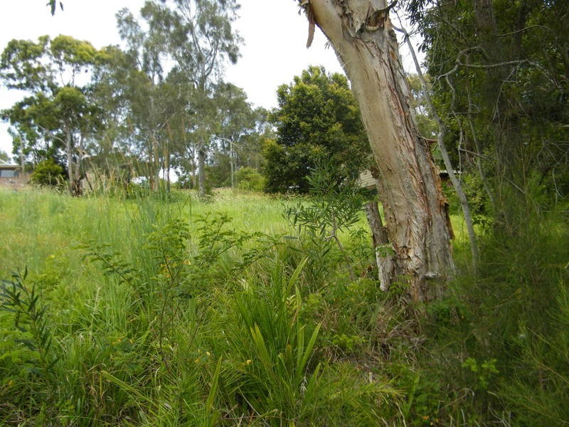 71 Seabreeze Parade, Green Point NSW 2428