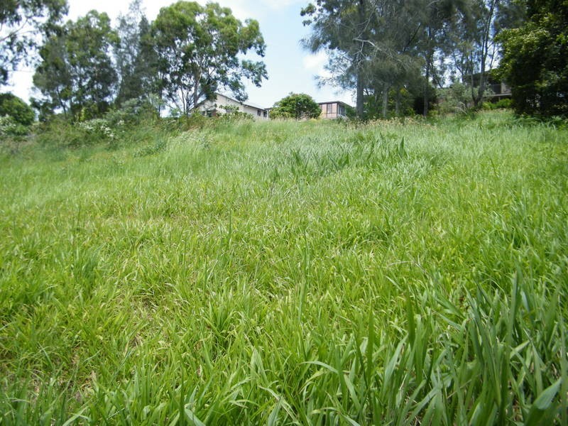 71 Seabreeze Parade, Green Point NSW 2428
