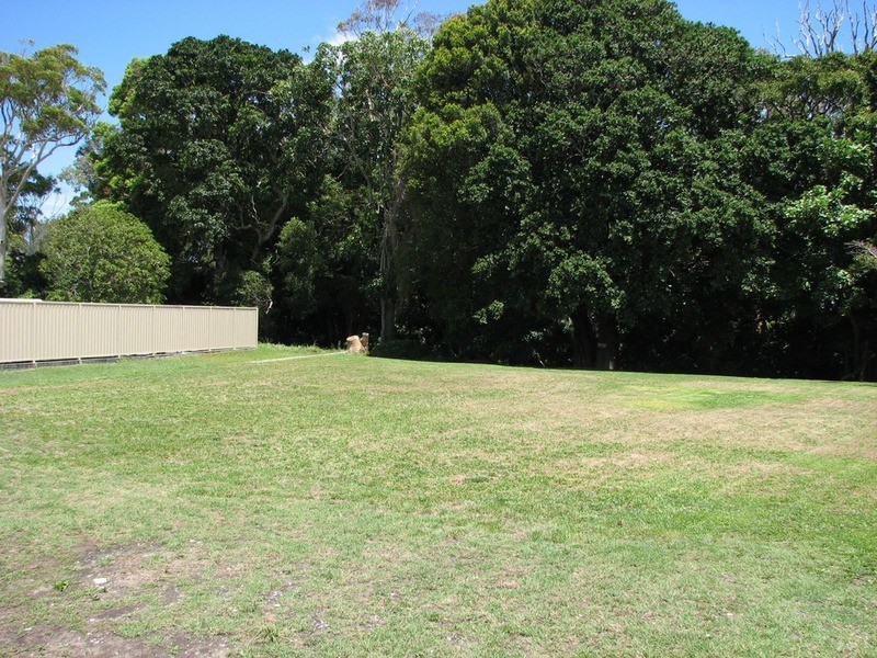 23 Fig Tree Court, Forster NSW 2428