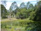 20 Kiwarrak Drive, Rainbow Flat NSW 2430