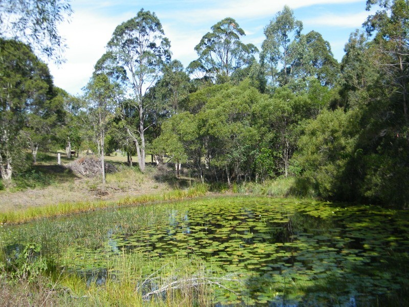 20 Kiwarrak Drive, Rainbow Flat NSW 2430
