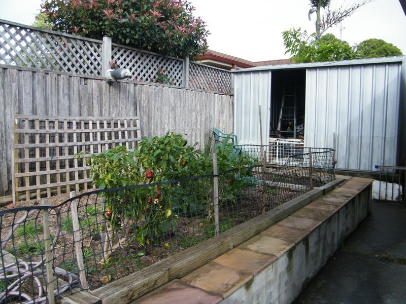 15 Kentia Drive, Forster NSW 2428