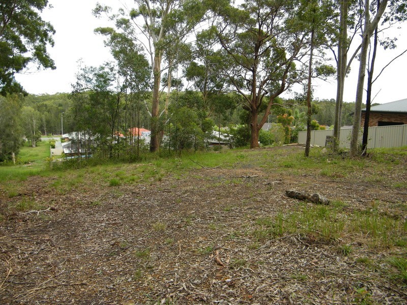 11 Caryota Place, Forster NSW 2428