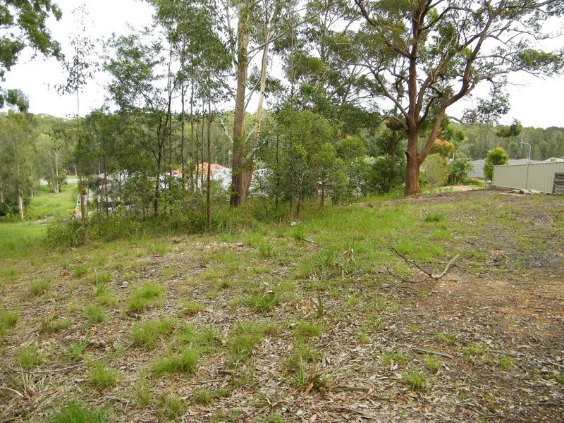 11 Caryota Place, Forster NSW 2428