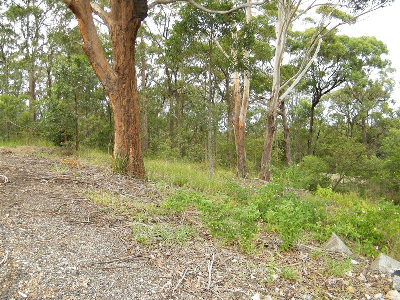 11 Caryota Place, Forster NSW 2428