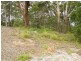 11 Caryota Place, Forster NSW 2428