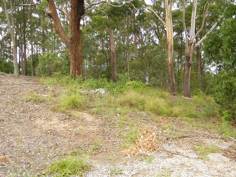 11 Caryota Place, Forster NSW 2428