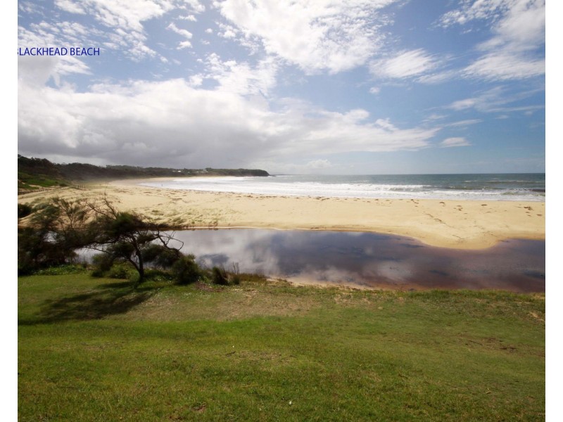 19 Royal Troon Avenue, Tallwoods Village NSW 2430