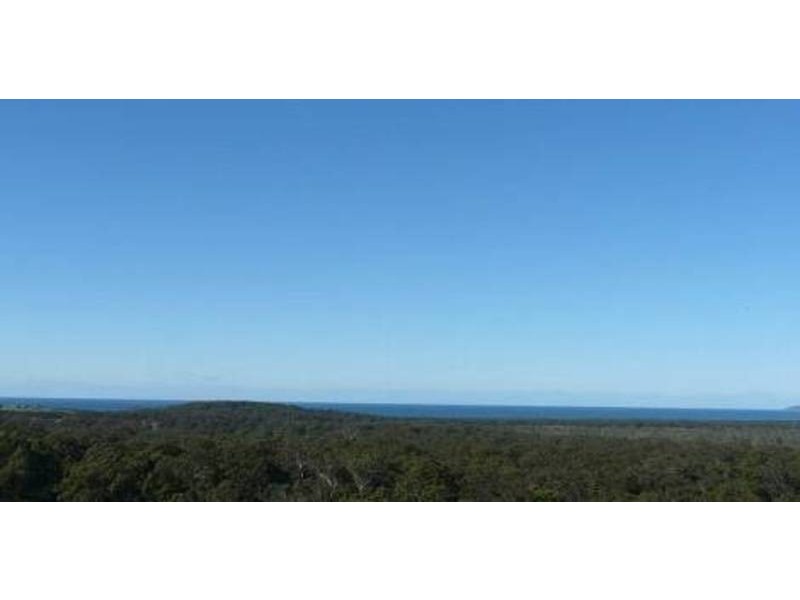 19 Azalea Crescent, Tallwoods Village NSW 2430