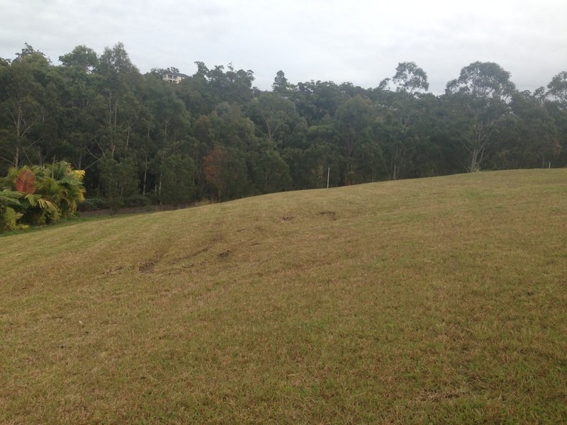23 The Saddle, Tallwoods Village NSW 2430