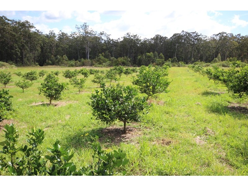 60 Holden Road, Rainbow Flat NSW 2430