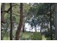 98 Patsys Flat Road, Smiths Lake NSW 2428