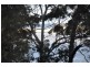 98 Patsys Flat Road, Smiths Lake NSW 2428