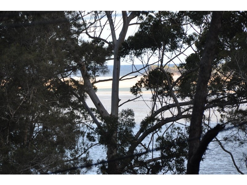 98 Patsys Flat Road, Smiths Lake NSW 2428