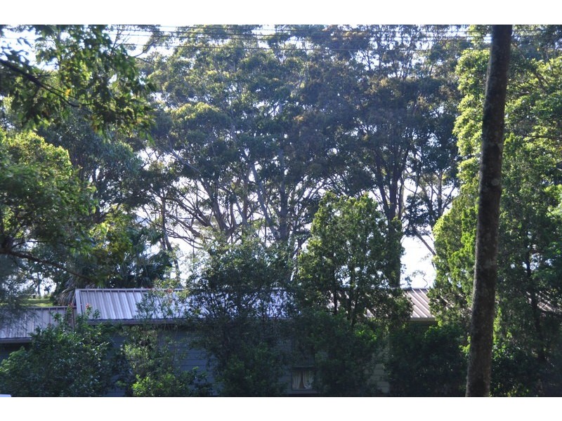 98 Patsys Flat Road, Smiths Lake NSW 2428