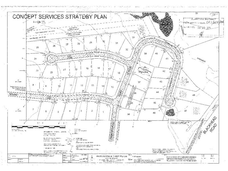 323 Blackhead Road, Hallidays Point NSW 2430
