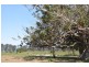 1591 Coomba Road, Coomba Bay NSW 2428