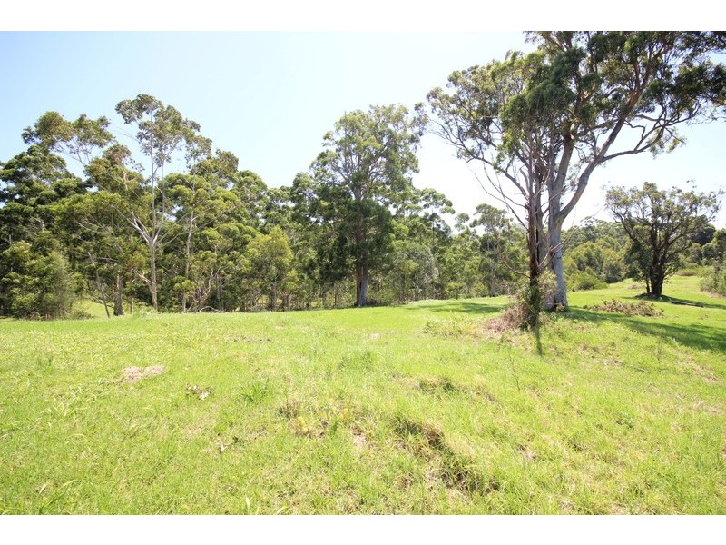 207 Coomba Road, Pacific Palms NSW 2428