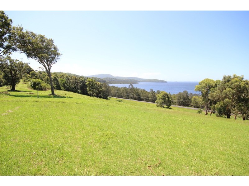 207 Coomba Road, Pacific Palms NSW 2428