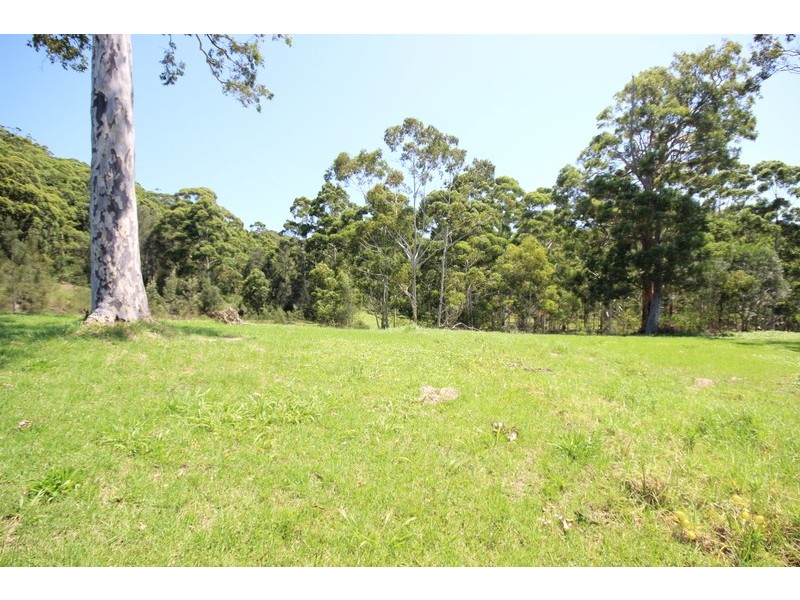 207 Coomba Road, Pacific Palms NSW 2428