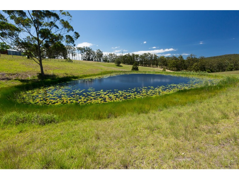 221 Herivels Road, Wootton NSW 2423