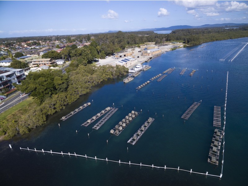 7/152-156 Little Street, Forster NSW 2428