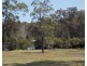 366 Minimbah West Branch Road, Minimbah NSW 2312