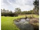 366 Minimbah West Branch Road, Minimbah NSW 2312