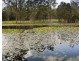 366 Minimbah West Branch Road, Minimbah NSW 2312
