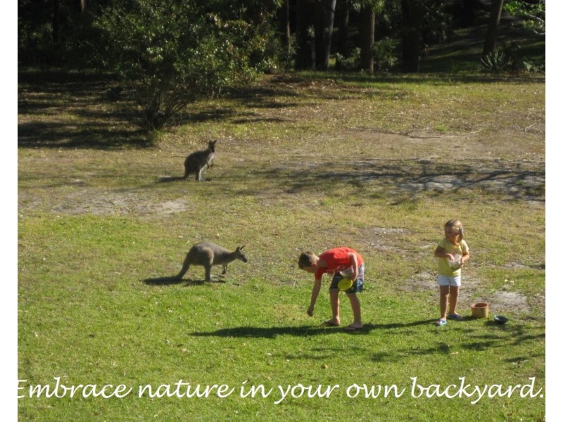 96 Coomba Road, Charlotte Bay NSW 2428