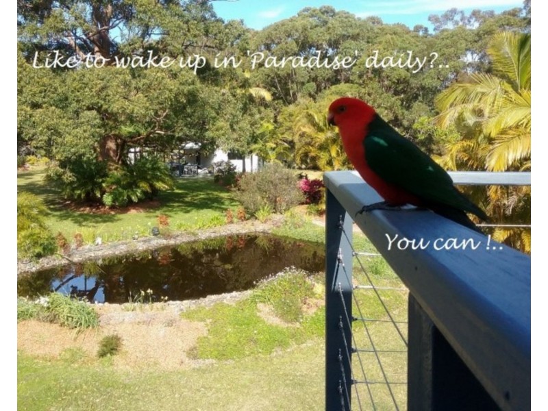 96 Coomba Road, Charlotte Bay NSW 2428