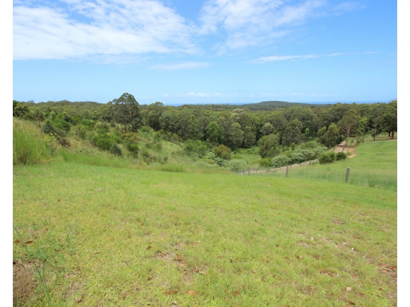 4 Clearview Crescent, Tallwoods Village NSW 2430