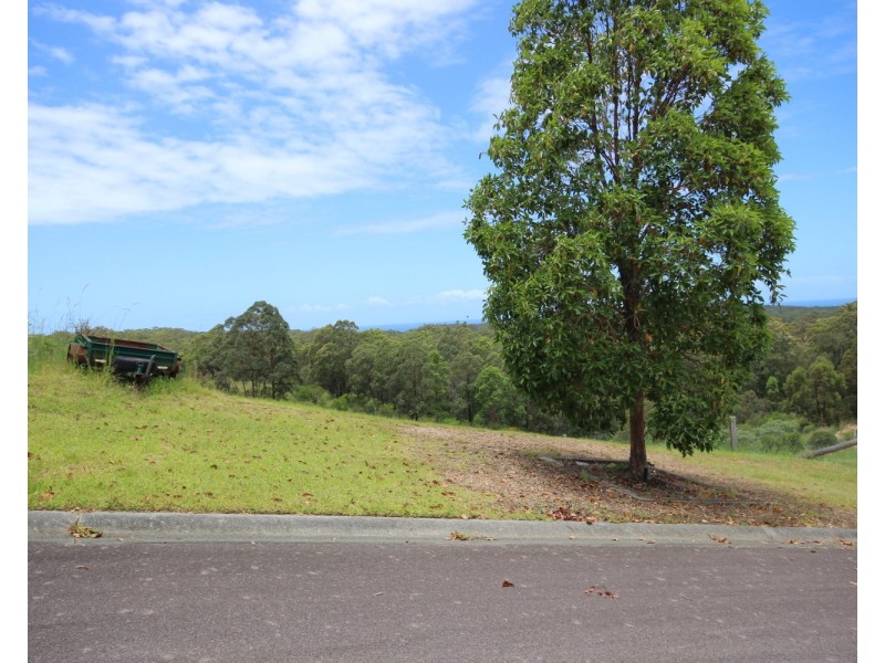 4 Clearview Crescent, Tallwoods Village NSW 2430