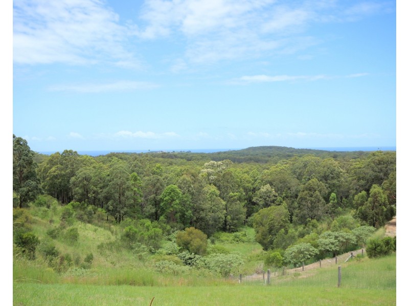 4 Clearview Crescent, Tallwoods Village NSW 2430