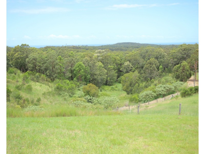 4 Clearview Crescent, Tallwoods Village NSW 2430