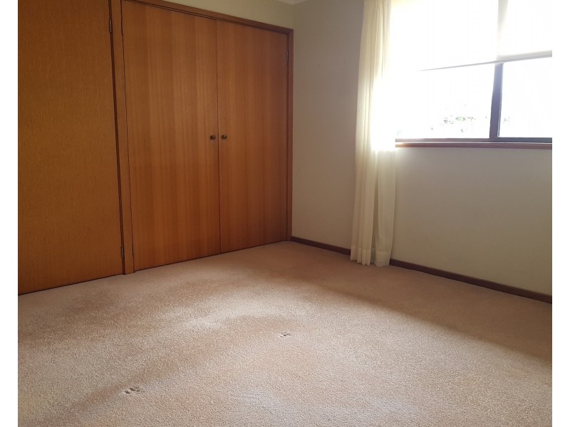 17 Palm Road, Forster NSW 2428