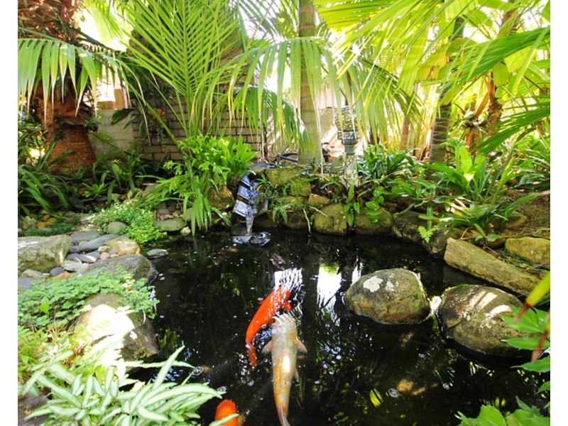 5 Livistona Drive, Forster NSW 2428