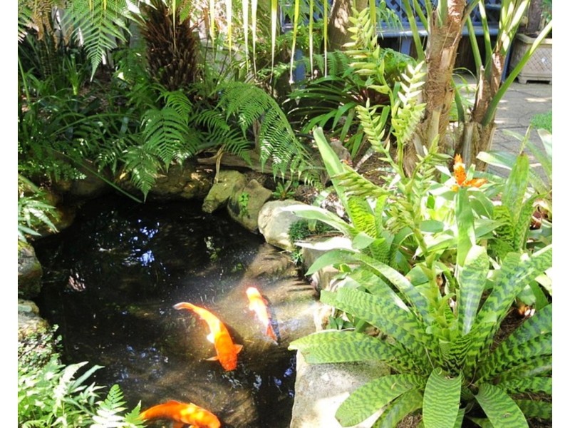 5 Livistona Drive, Forster NSW 2428