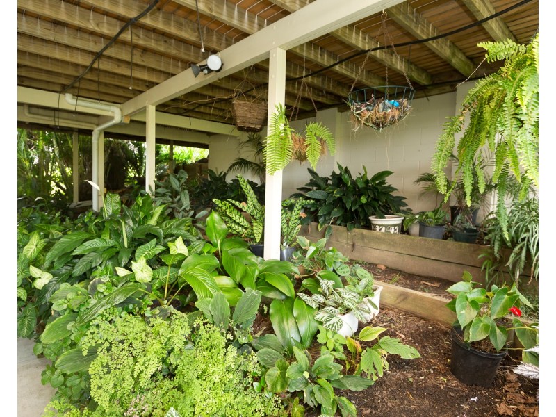 29 The Knoll, Tallwoods Village NSW 2430