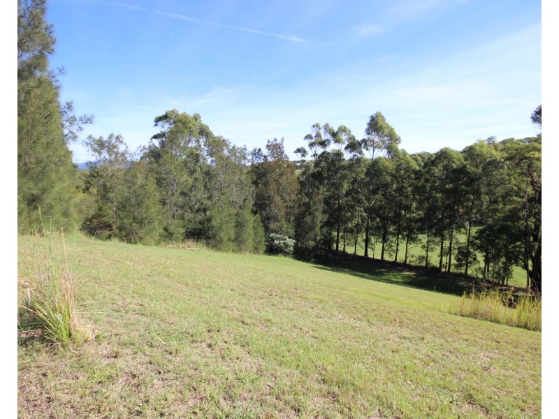 5 Bottle Brush Lane, Tallwoods Village NSW 2430