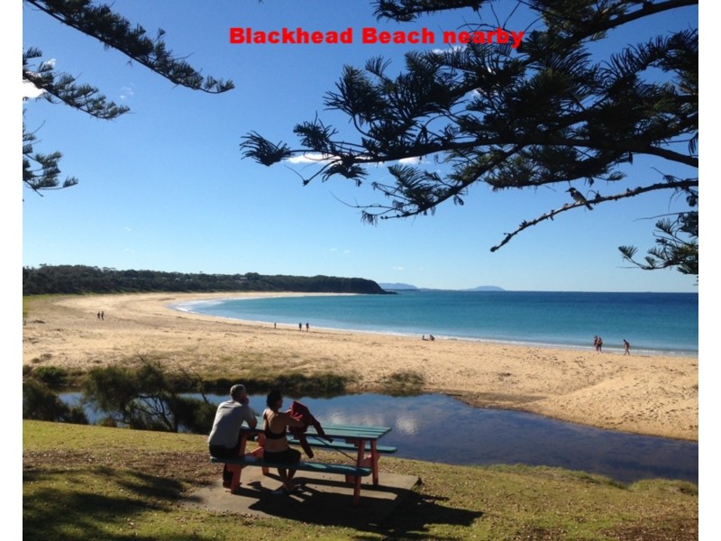 3 Camellia Close, Tallwoods Village NSW 2430