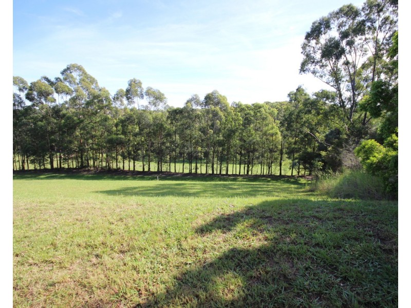 9 Golden Wattle Way, Tallwoods Village NSW 2430