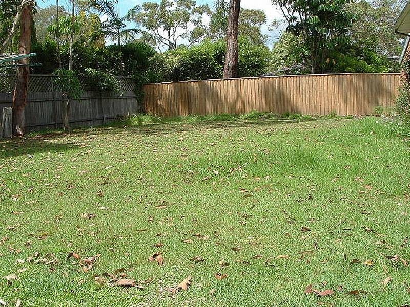 17 Peacock Parade, Frenchs Forest NSW 2086