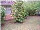 6 Hal Hammond Place, Belrose NSW 2085