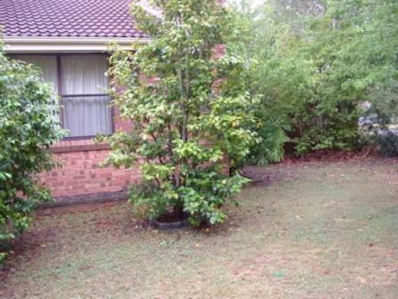 6 Hal Hammond Place, Belrose NSW 2085
