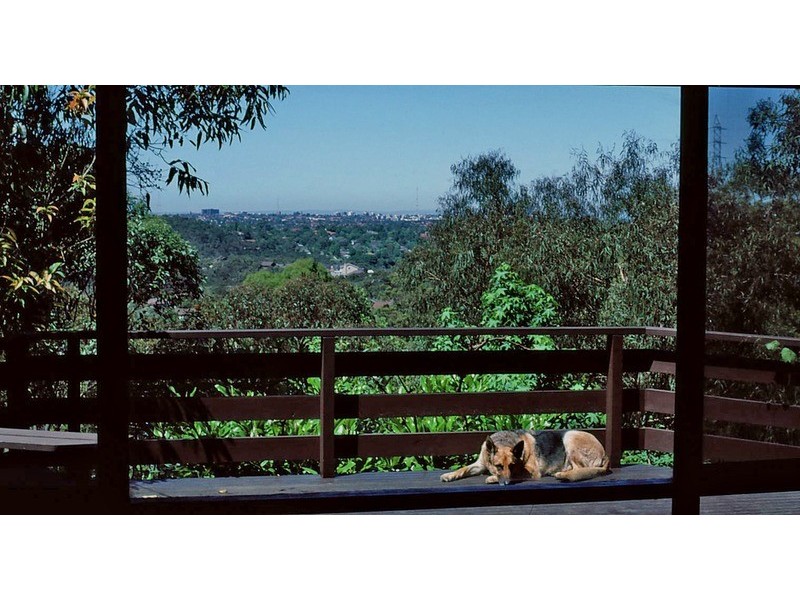 Frenchs Forest NSW 2086